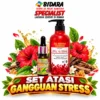 Set Gangguan Stress All-inclusive 1 Set 2 gangguan stress