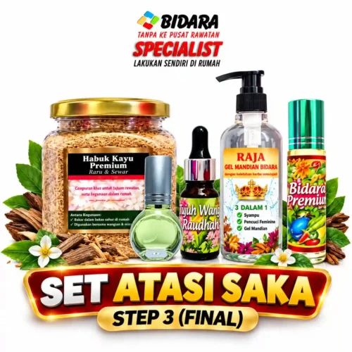 Set Atasi Saka Step 3 (Final)