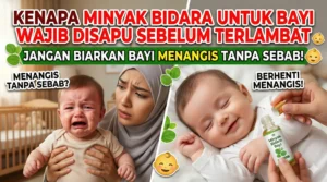 minyak bidara untuk bayi