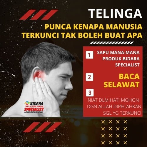 telinga low