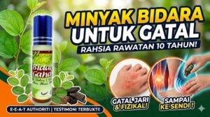 minyak bidara untuk gatal